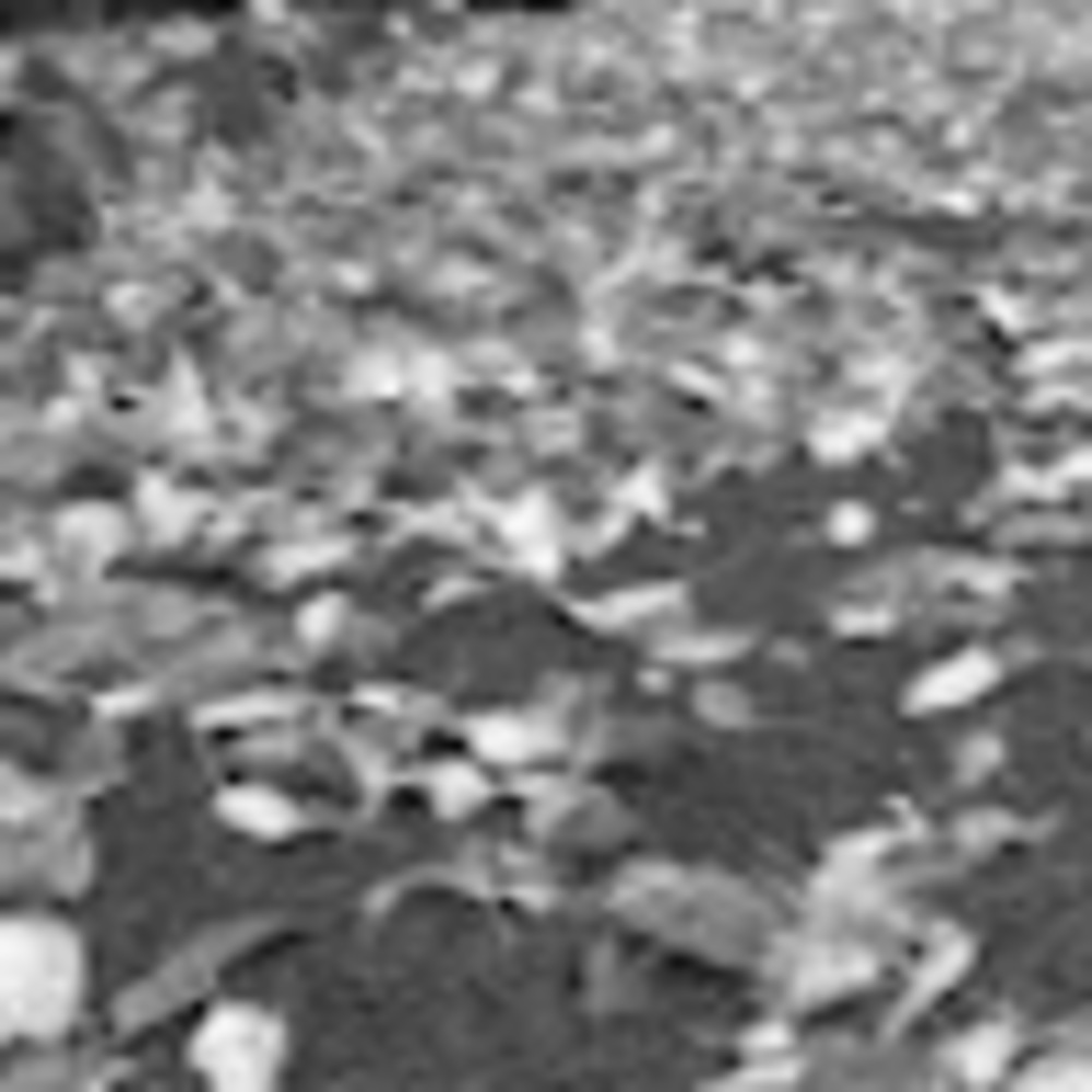 Meet your Posher, Meme's